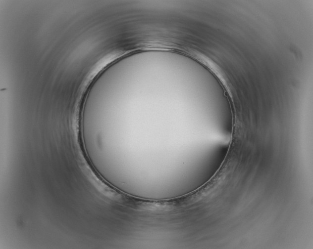 X0000112961195200909101626