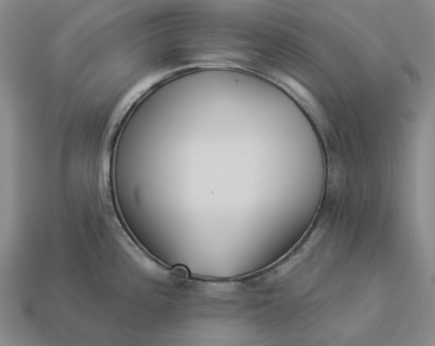 X0000112961196200909101626