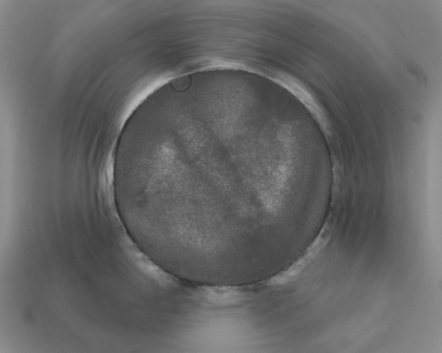 X0000112961198200909101626