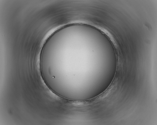 X0000112961199200909101626