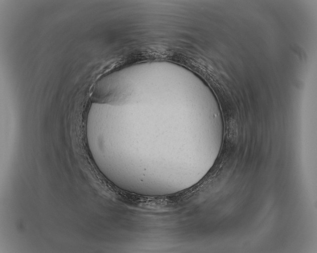 X0000112961201200909101625