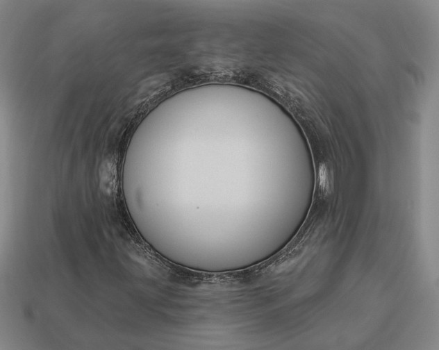 X0000112961203200909101625