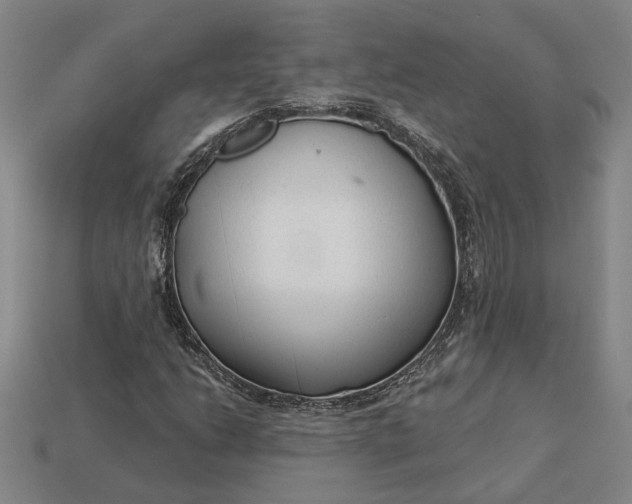 X0000112961206200909101625