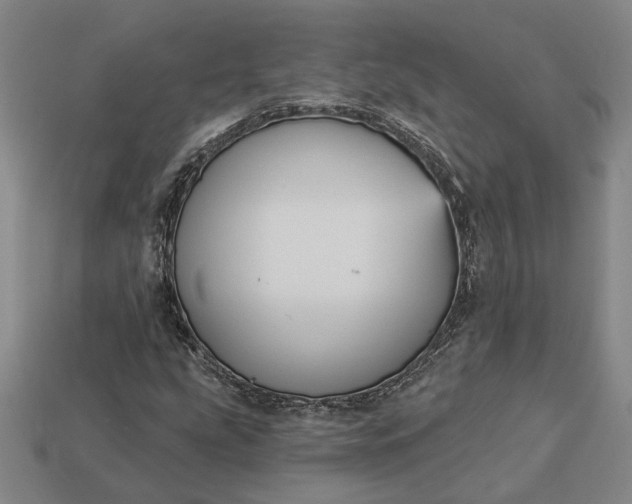 X0000112961207200909101625