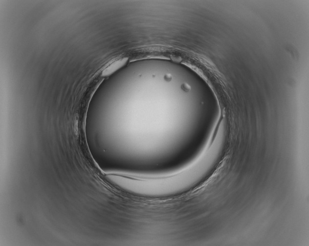 X0000112961209200909101626