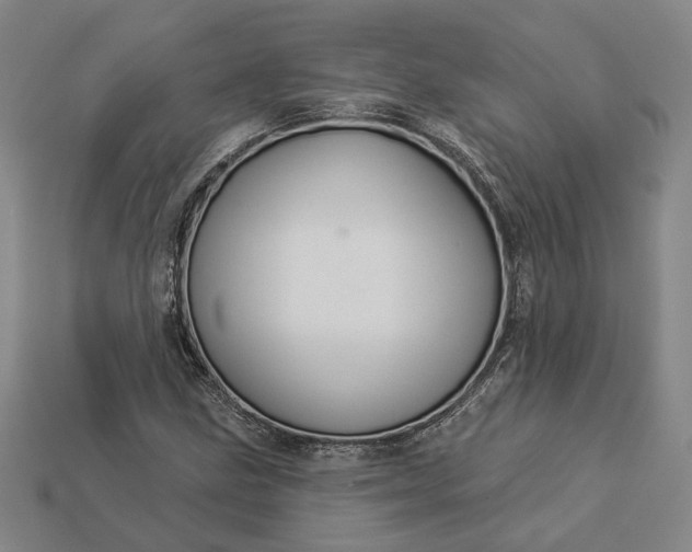 X0000112961211200909101626