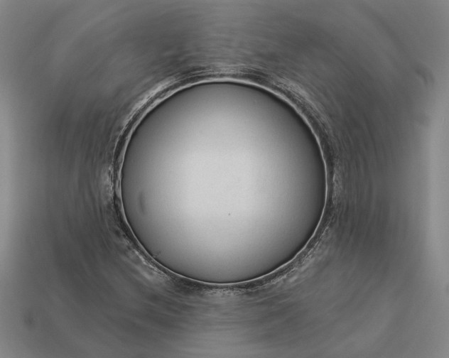 X0000112961212200909101626