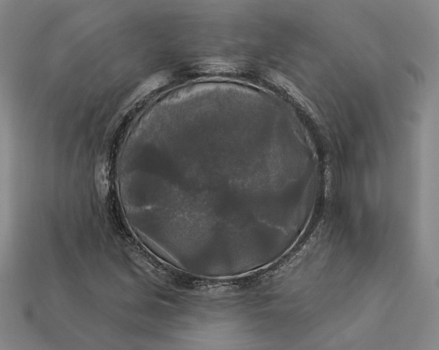 X0000112961213200909101626