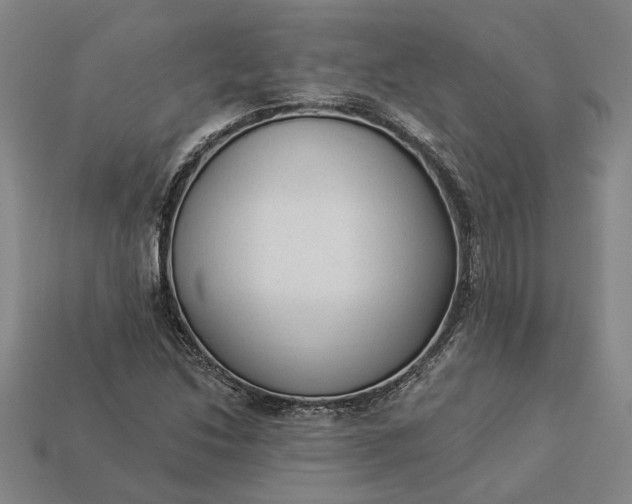 X0000112961214200909101626