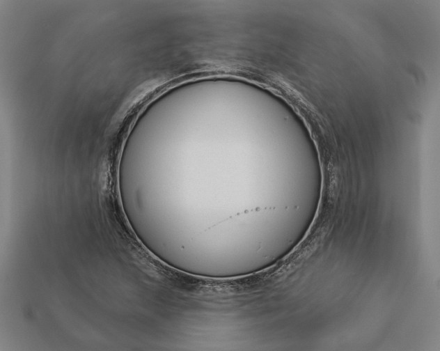 X0000112961215200909101626