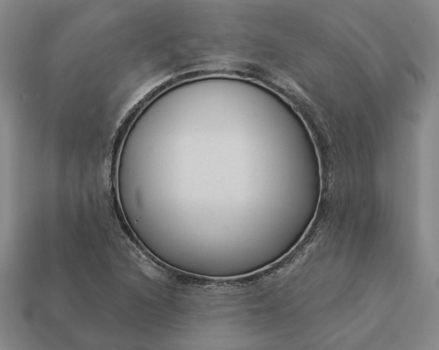 X0000112961216200909101626