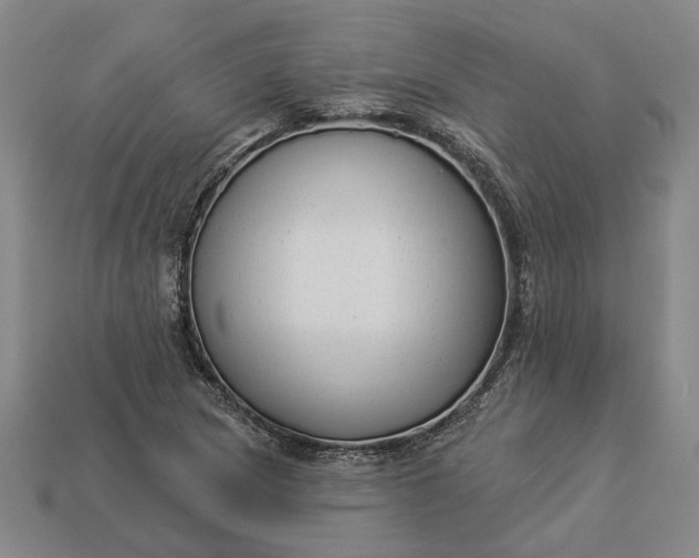 X0000112961217200909101626