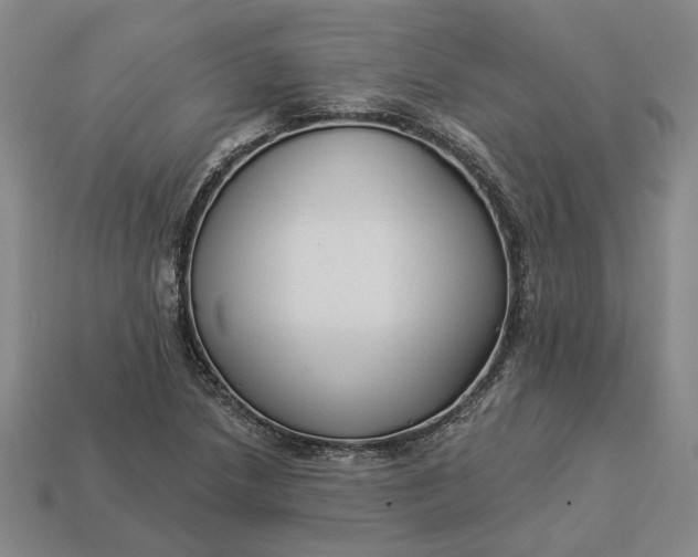 X0000112961218200909101626