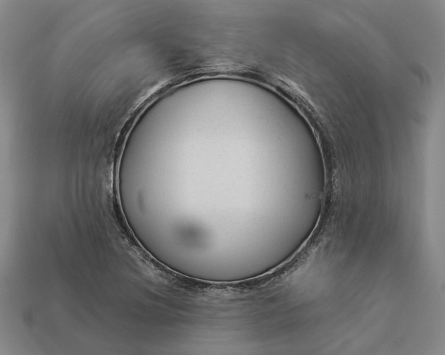 X0000112961220200909101626