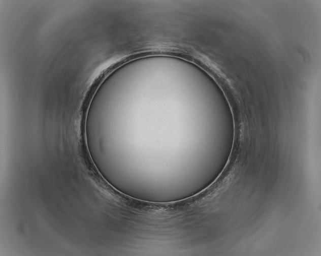 X0000112961222200909101626