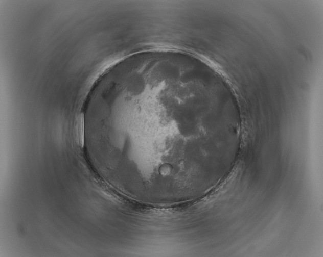 X0000112961223200909101626