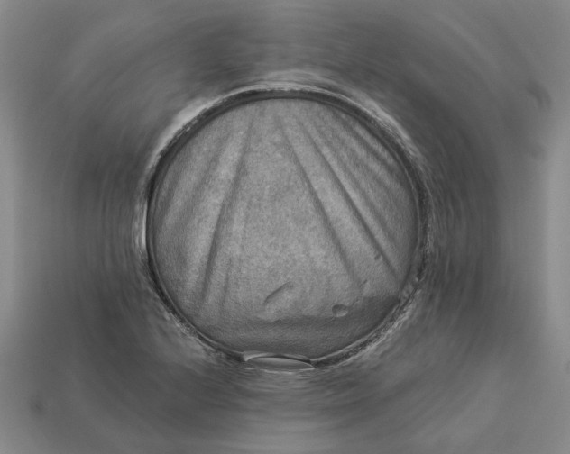 X0000112961224200909101626