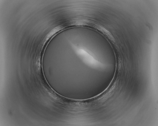 X0000112961226200909101626