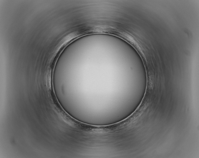 X0000112961227200909101626