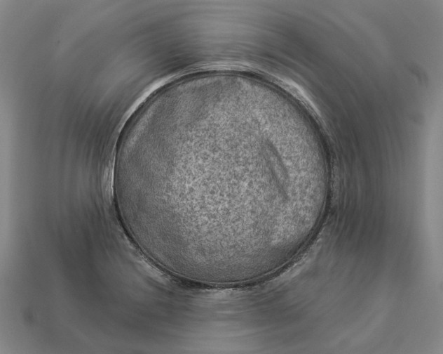 X0000112961228200909101626