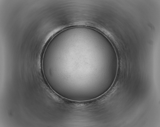 X0000112961230200909101626