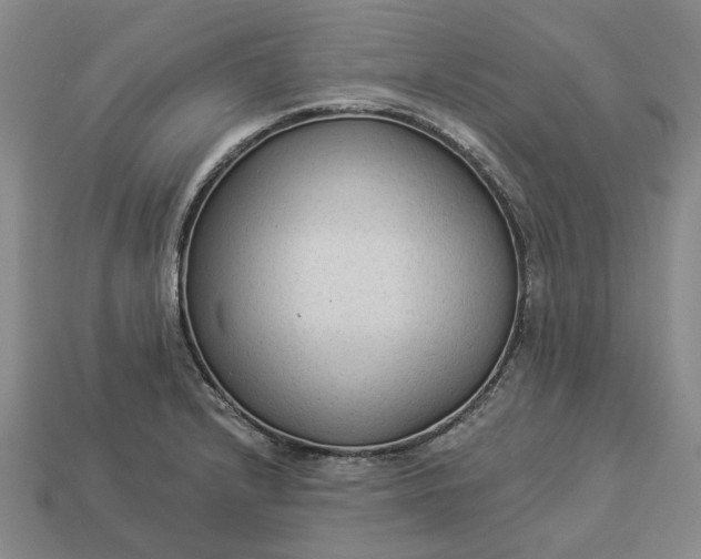 X0000112961232200909101626