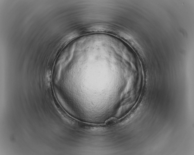 X0000112961233200909101626