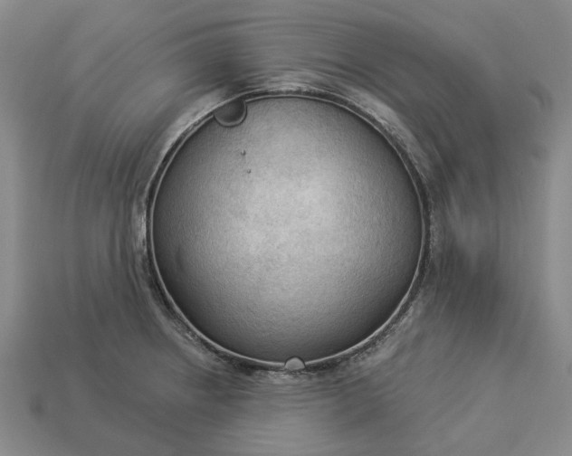 X0000112961234200909101626