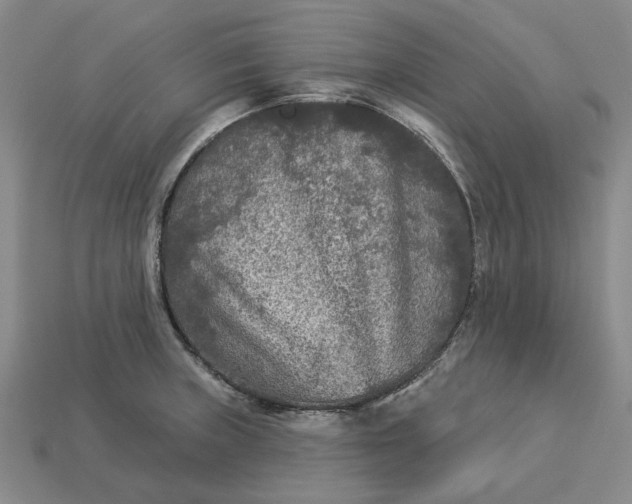 X0000112961235200909101626