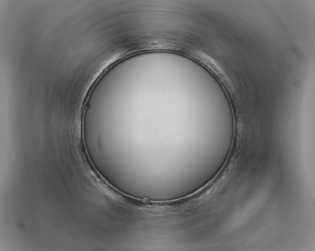 X0000112961236200909101626