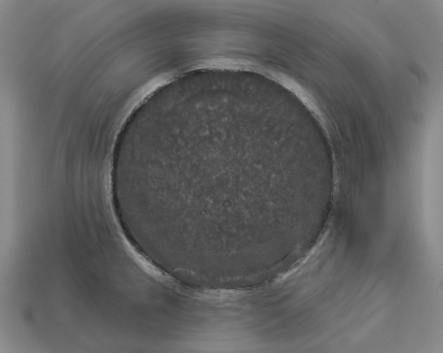 X0000112961237200909101626