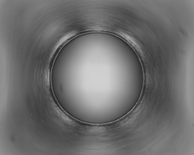 X0000112961238200909101626