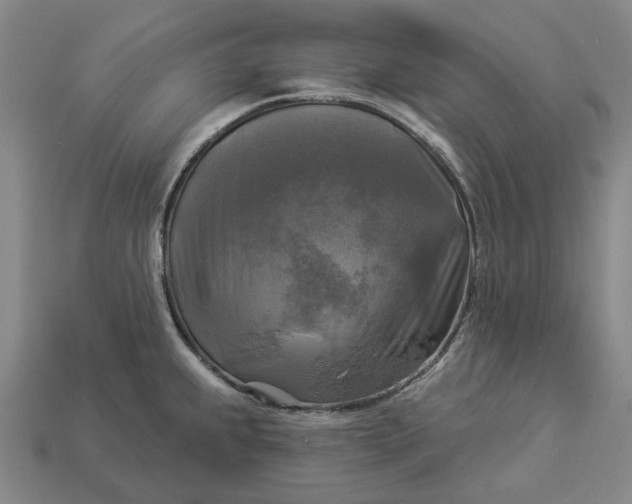 X0000112961239200909101626