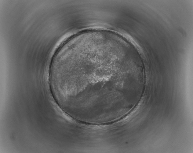 X0000112961240200909101626