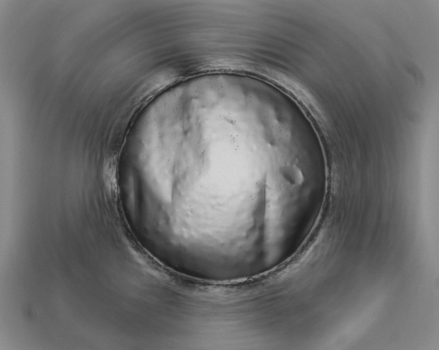 X0000112961241200909101626