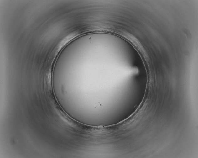 X0000112961242200909101626