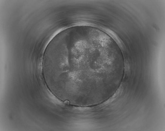 X0000112961244200909101626