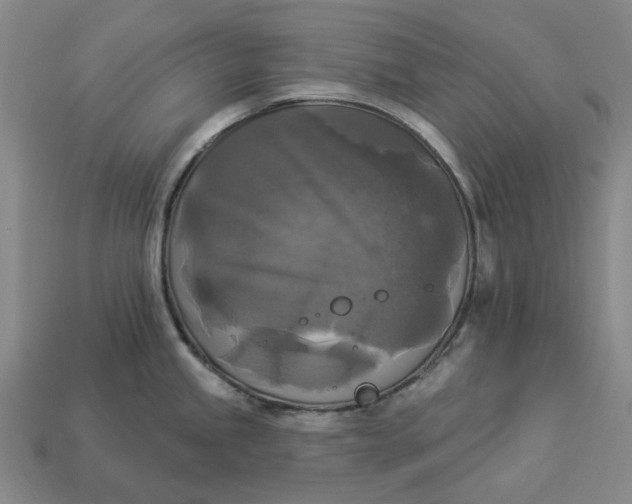 X0000112961245200909101626