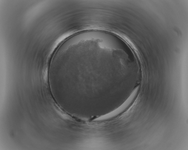 X0000112961246200909101626