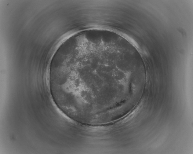 X0000112961247200909101626