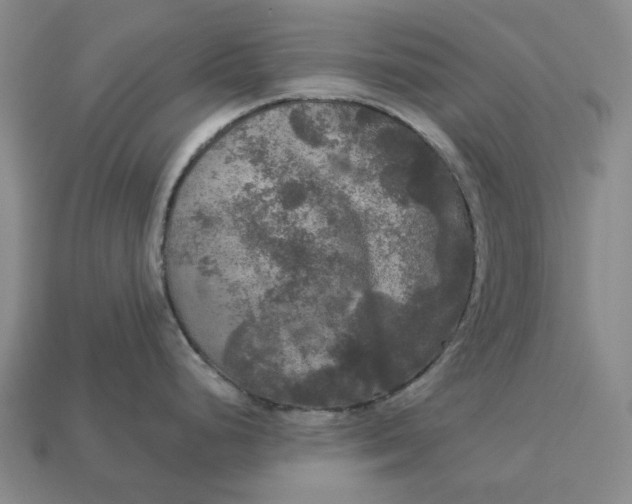 X0000112961248200909101626