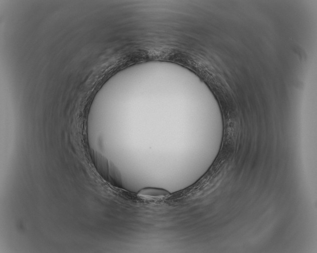 X0000112961249200909101625