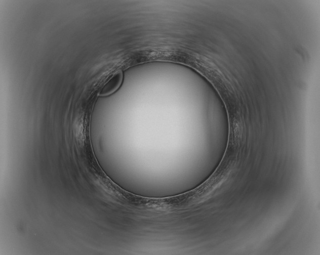 X0000112961250200909101625