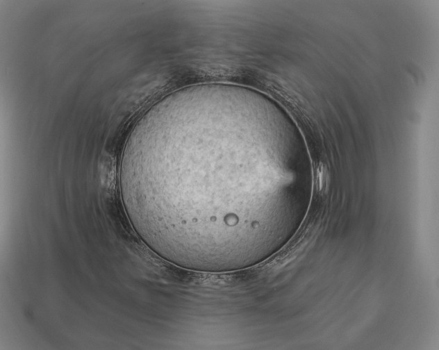 X0000112961251200909101625