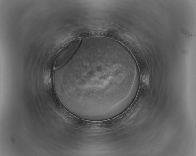 X0000112961252200909101625