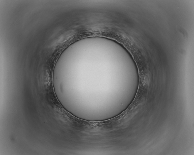 X0000112961253200909101625