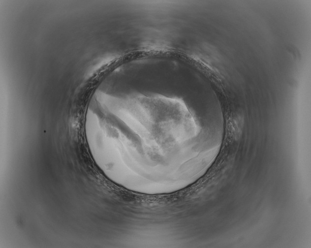 X0000112961254200909101625