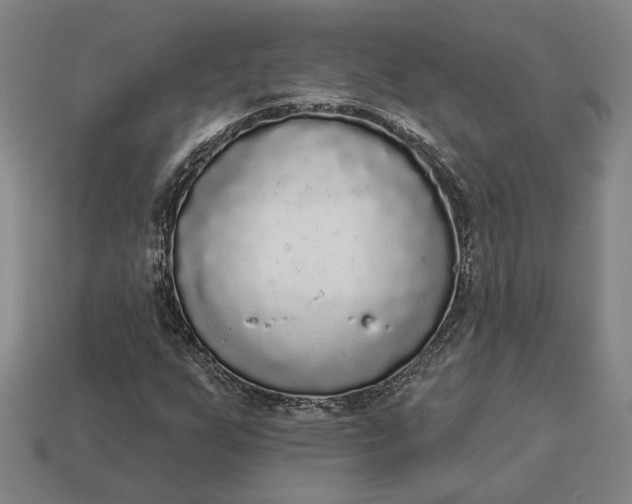 X0000112961255200909101625