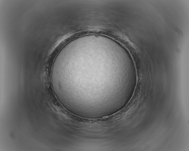 X0000112961256200909101625