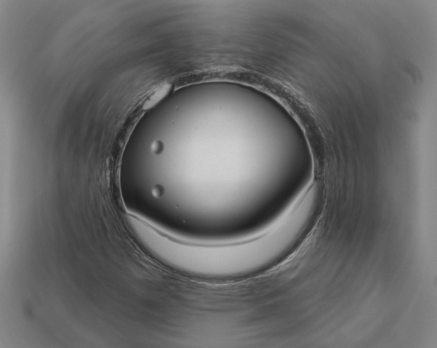 X0000112961257200909101625